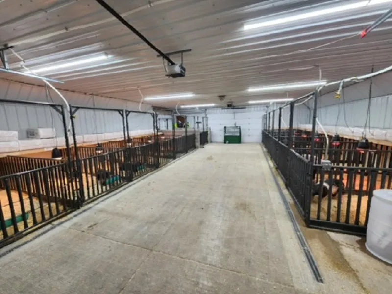 Center alley between rows of W-W pig pens