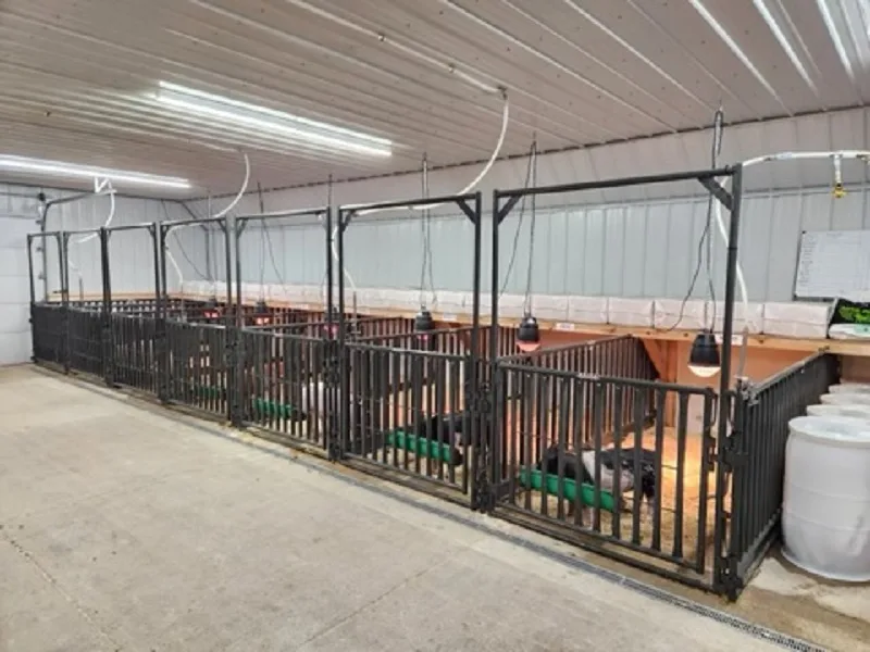 Row of 6x12 pig pens with feeders