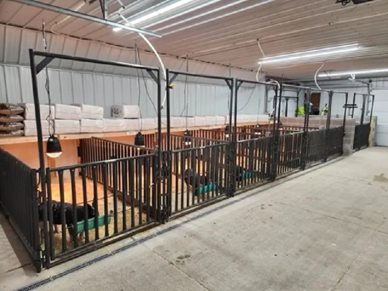 W-W pig pens installed in a Wisconsin swine barn